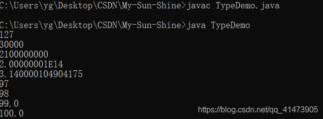 Java类型自动转换机制的示例及其分析