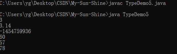 Java类型自动转换机制的示例及其分析