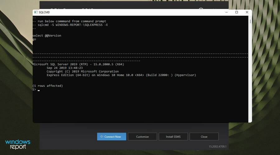 在 Windows 11 上下载和安装 Microsoft SQL Server 2019 的步骤