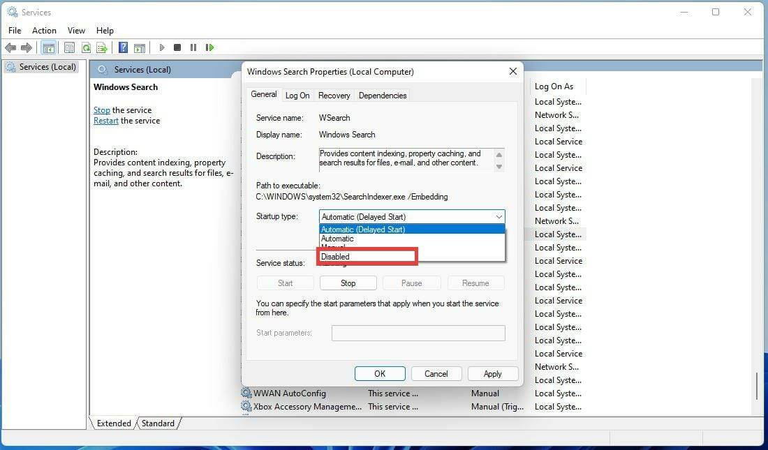 如何禁用 Windows 11中的搜索功能？