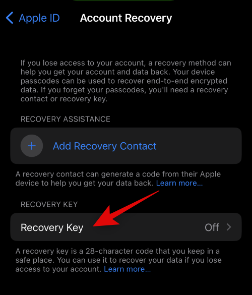 iPhone的高级数据保护功能是什么,如何开启它以及其作用是什么?
