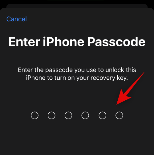 iPhone的高级数据保护功能是什么,如何开启它以及其作用是什么?