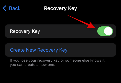 iPhone的高级数据保护功能是什么,如何开启它以及其作用是什么?
