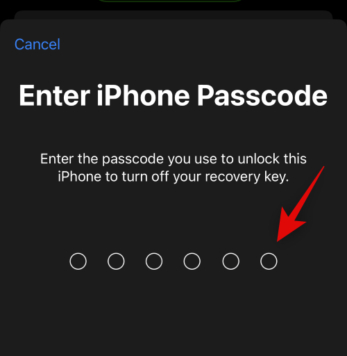 iPhone的高级数据保护功能是什么,如何开启它以及其作用是什么?