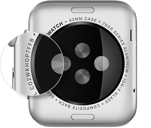 如何在 Apple Watch 上查看序列号?