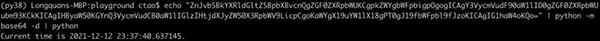 八种使用 Python 内置库而无需编写代码的方法