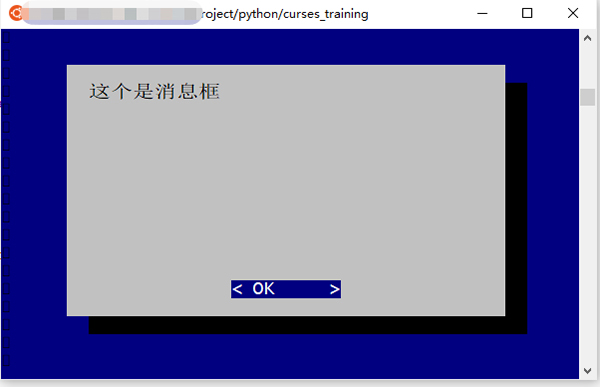 Python 文本终端 GUI 框架:打造极客风格的用户界面