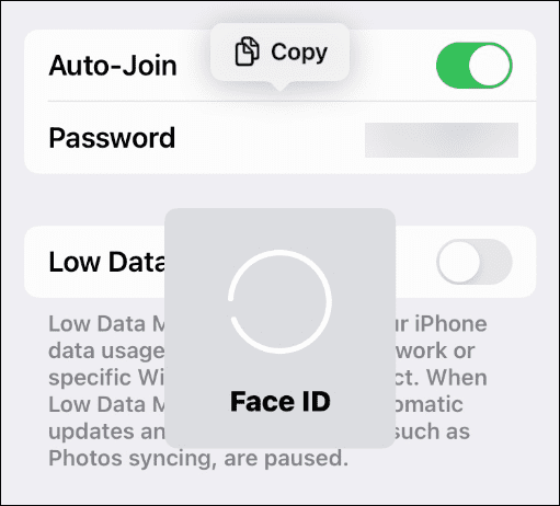如何在 iPhone 上查看已保存的 Wi-Fi 网络密码