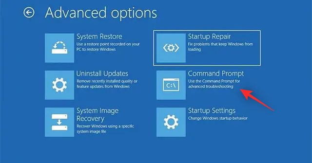 如何解决Windows 11上复制和粘贴无法正常工作的问题？