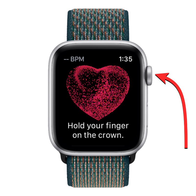 Apple Watch 心电图记录:详细步骤指南