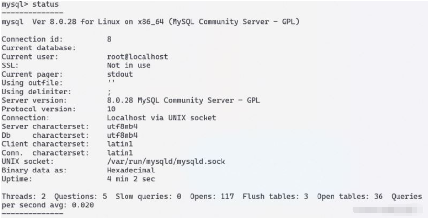 如何在Docker中安装和远程访问MySQL 8？