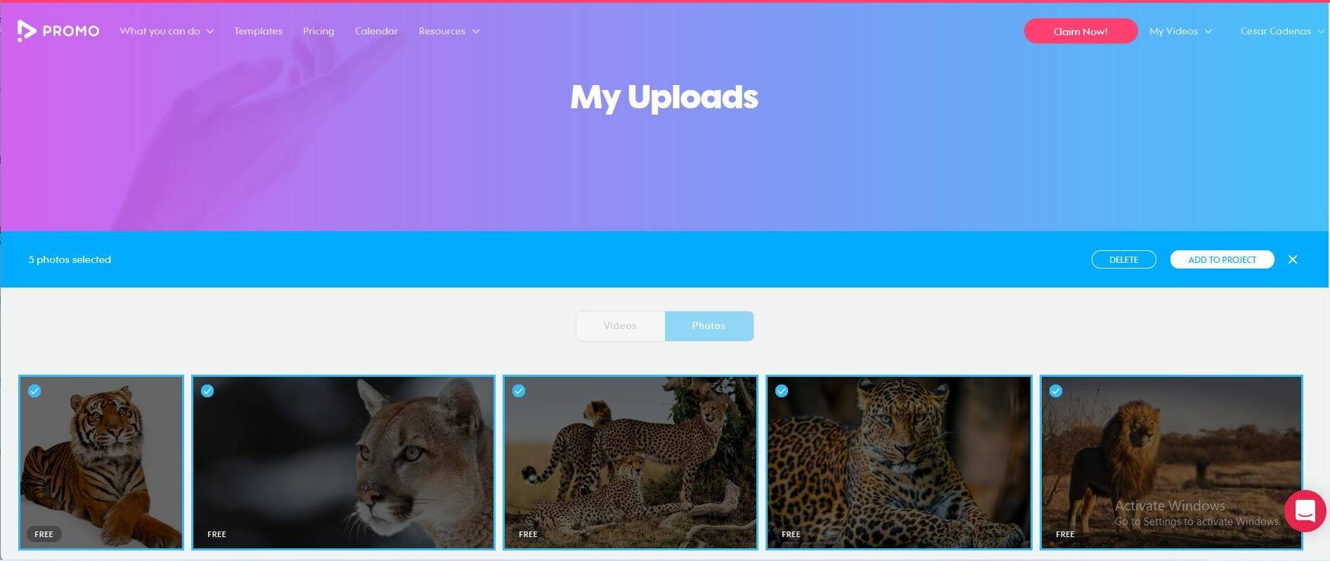 如何用Windows 11制作带音乐的幻灯片？