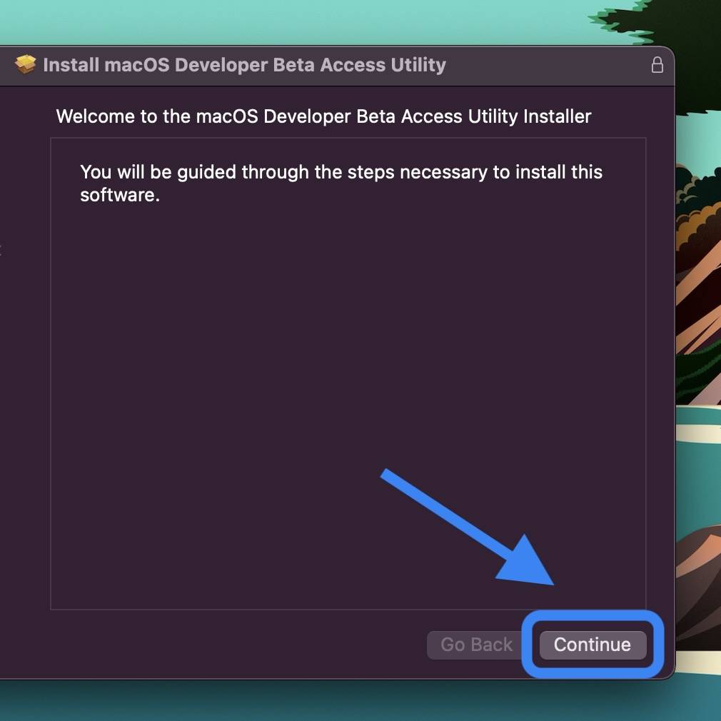如何安装 macOS Monterey 开发者测试版
