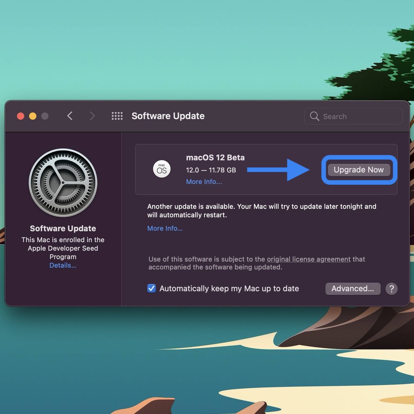 如何安装 macOS Monterey 开发者测试版