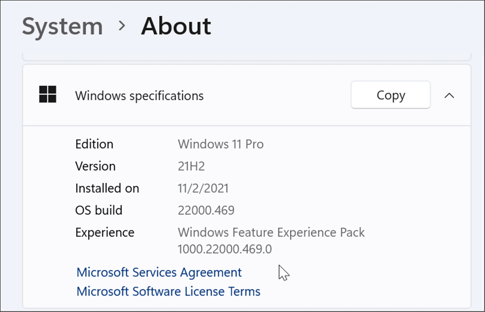 如何检查 Windows 11 版本信息
