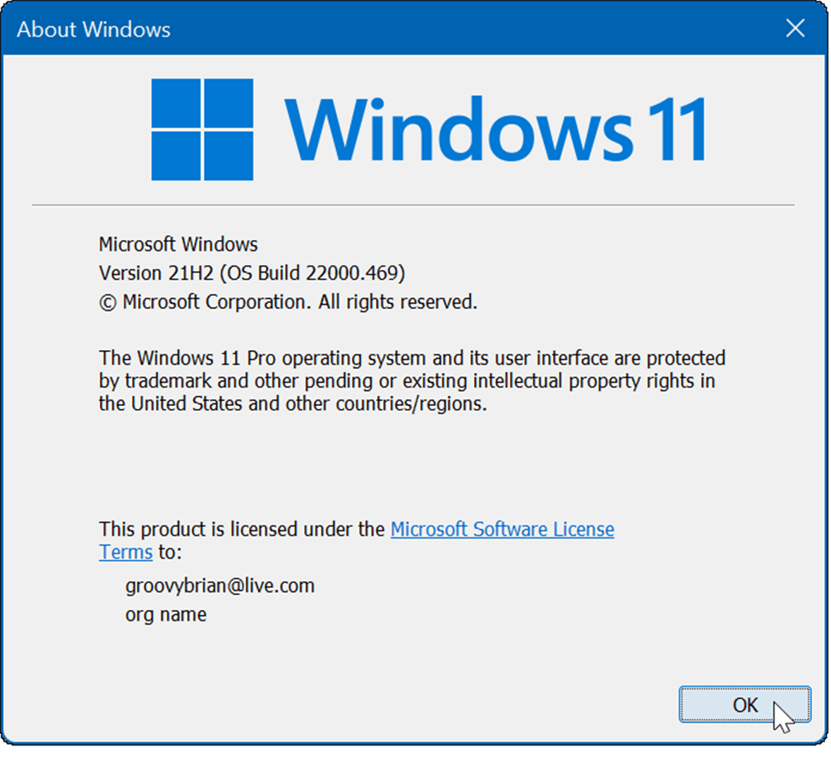 如何检查 Windows 11 版本信息