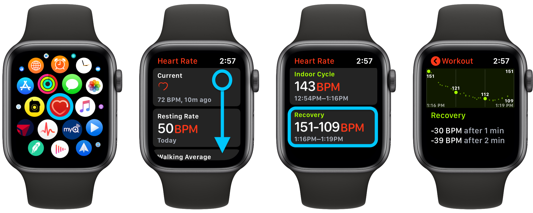 Apple Watch 的心率恢复功能:重要性和使用方法。