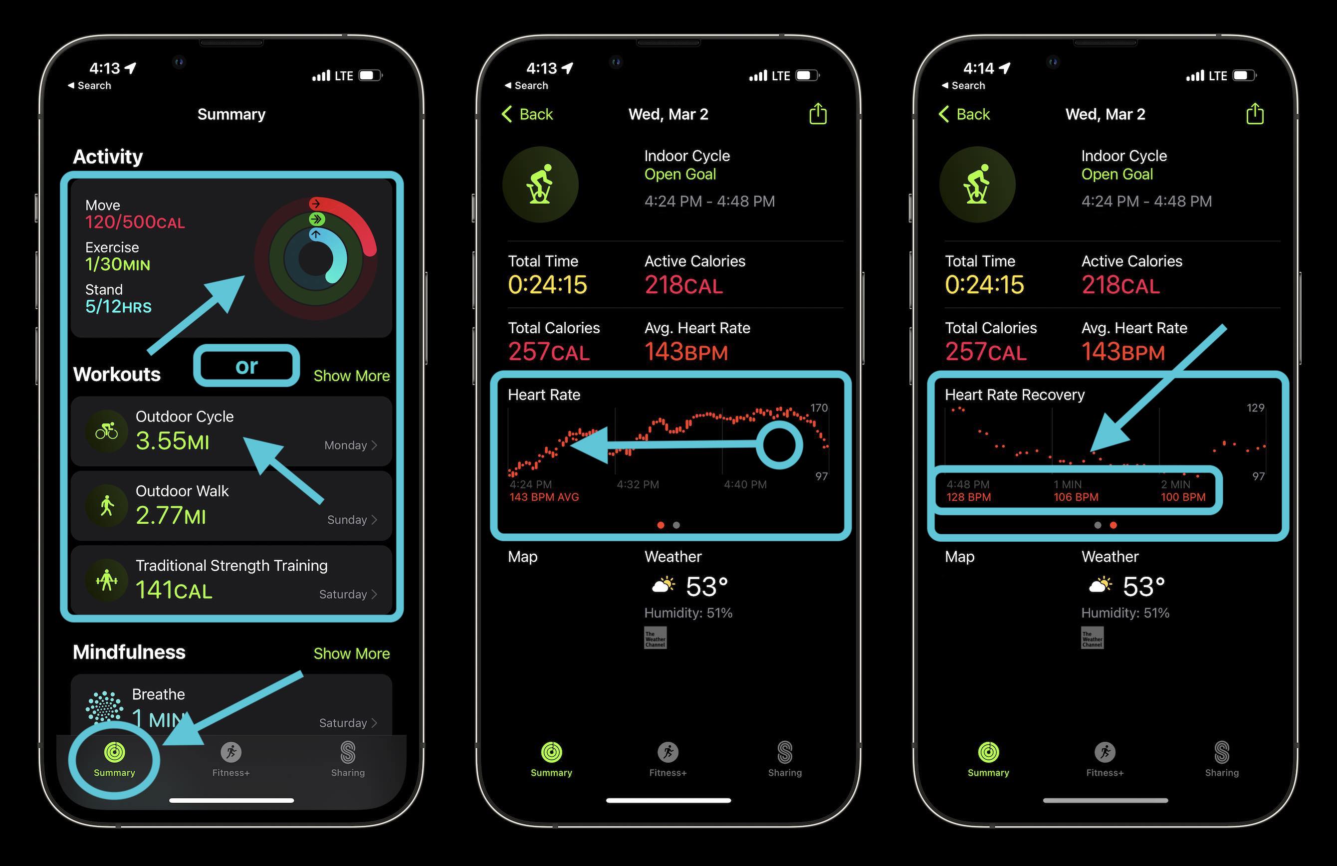 Apple Watch 的心率恢复功能:重要性和使用方法。
