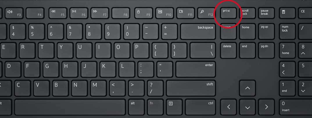 如何在 Windows 11 上进行屏幕截图？