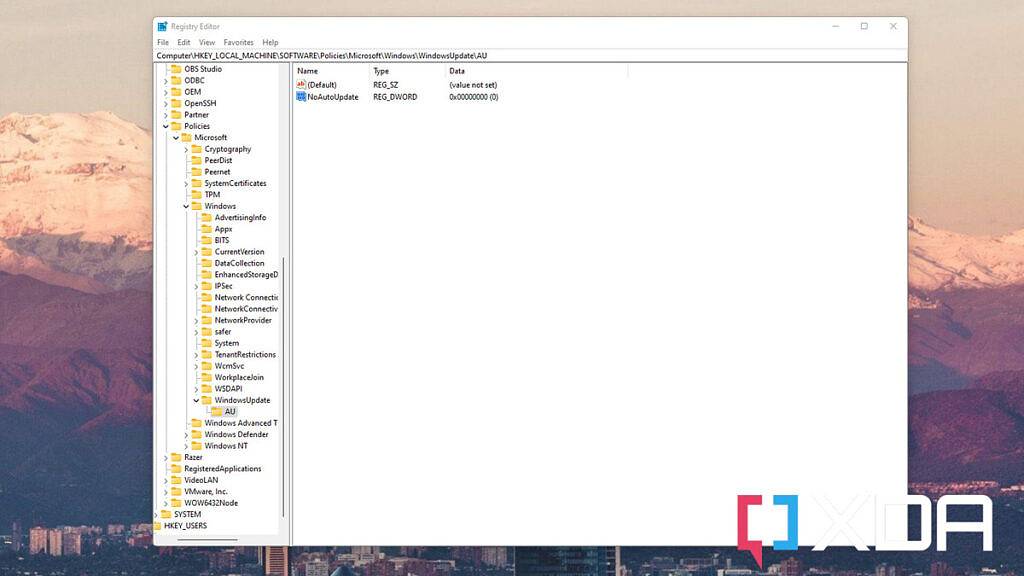 如何通过编辑注册表停止自动更新 Windows 11?
