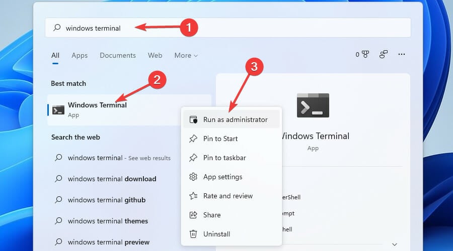 要禁用的 Windows 11 服务:如何安全地执行此操作