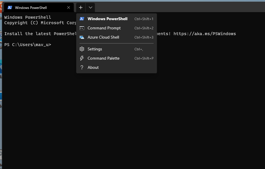 要禁用的 Windows 11 服务:如何安全地执行此操作