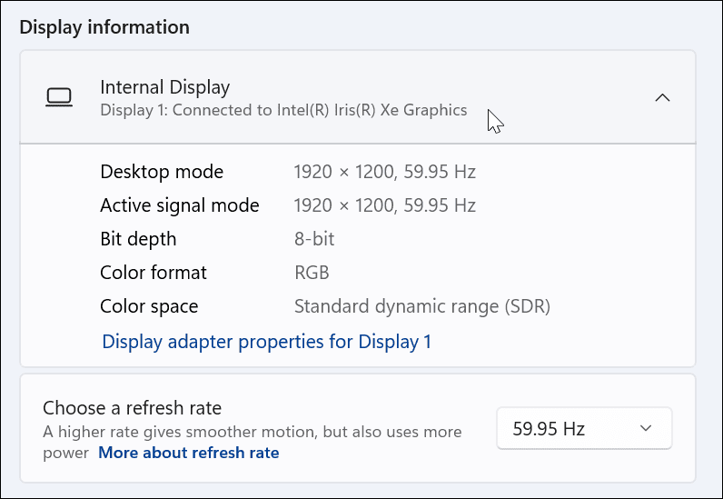 如何在 Windows 11 上查看您的显卡信息