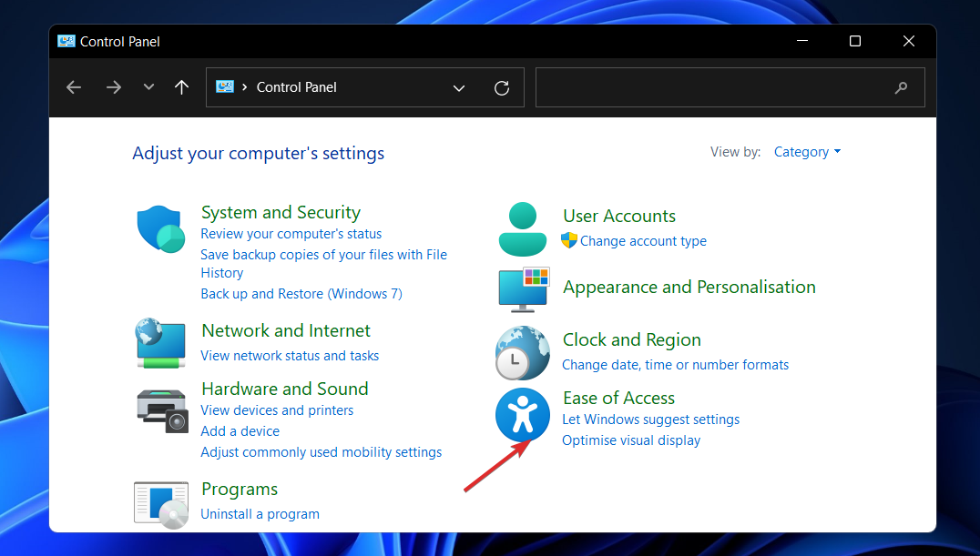 如何在 Windows 11 中关闭动画特效?
