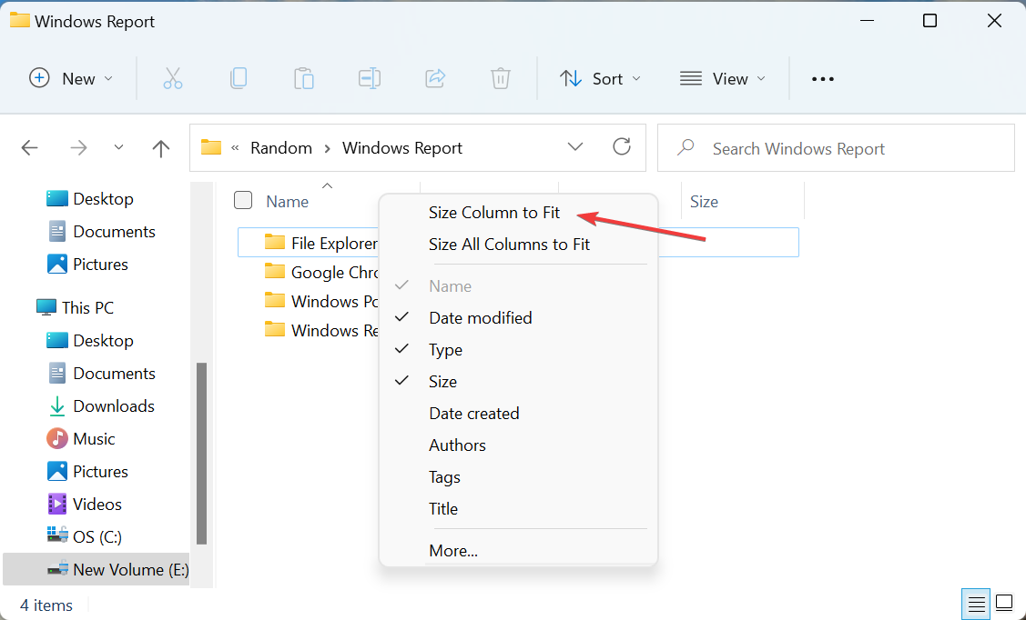 如何在 Windows 11 上自动调整所有列的大小?
