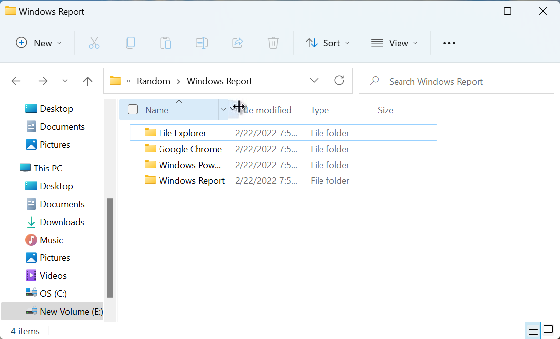 如何在 Windows 11 上自动调整所有列的大小?
