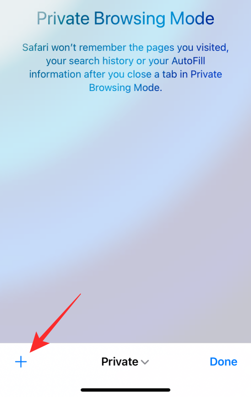 如何在 iPhone 上查看隐私浏览的历史记录？