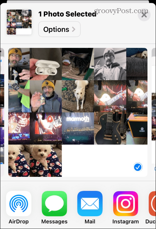 如何用 iPhone 制作照片拼贴?