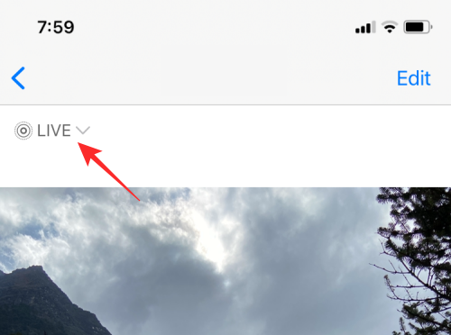 iPhone上视频循环播放的完整指南