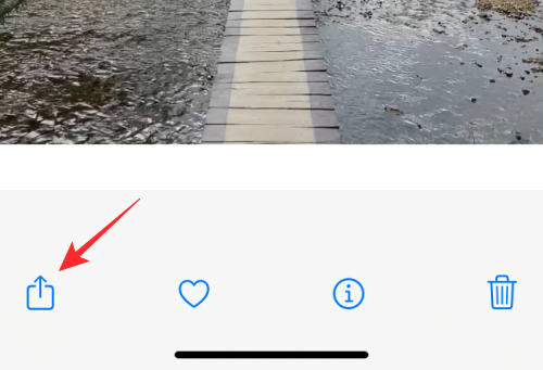 iPhone上视频循环播放的完整指南
