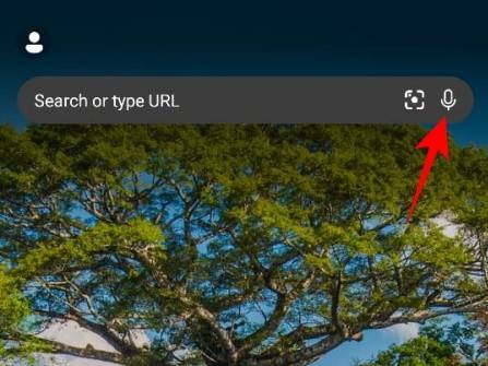 使用手机应用程序与Bing AI进行语音交互的方法