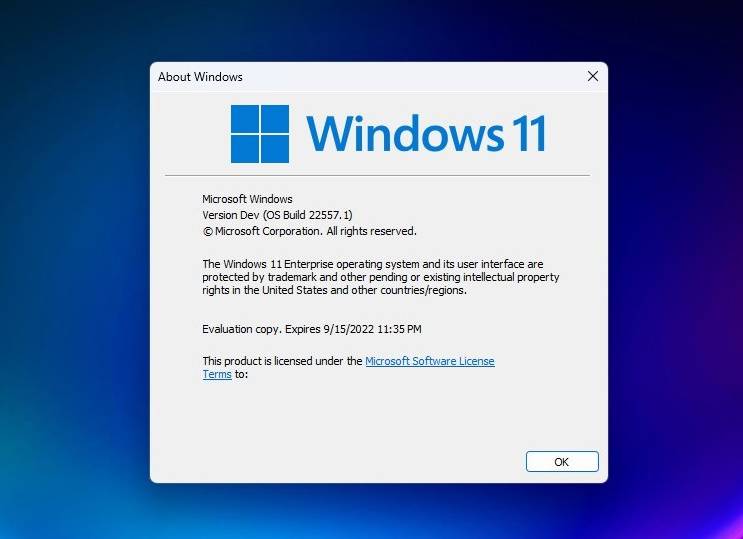 如何在Windows 11 22H2中将云母/亚克力设计应用到更多的Win32桌面应用程序?