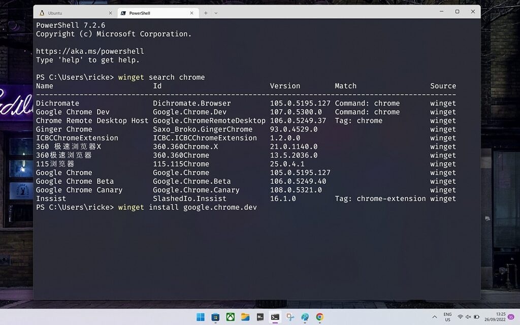 如何在 Windows 10 和 Windows 11 上安装和使用 Windows 包管理器?