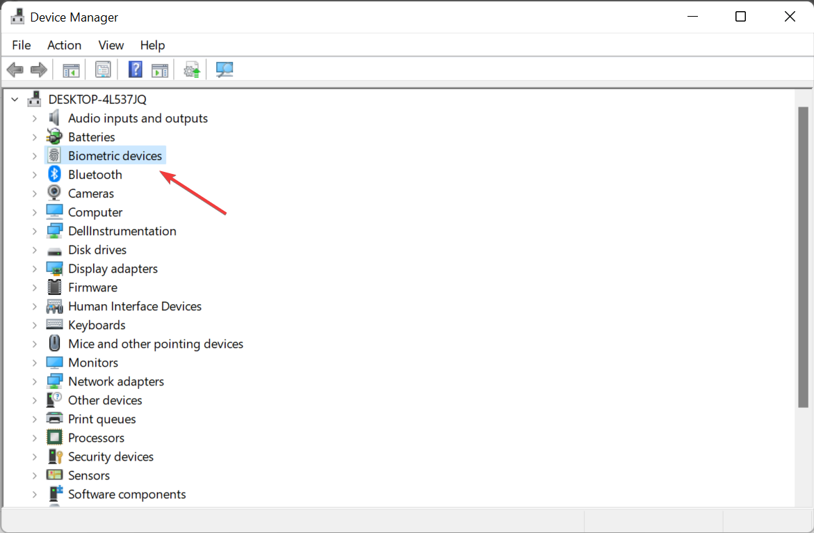 Windows Hello 在 Windows 11 中失灵?尝试这3种方法来解决问题。