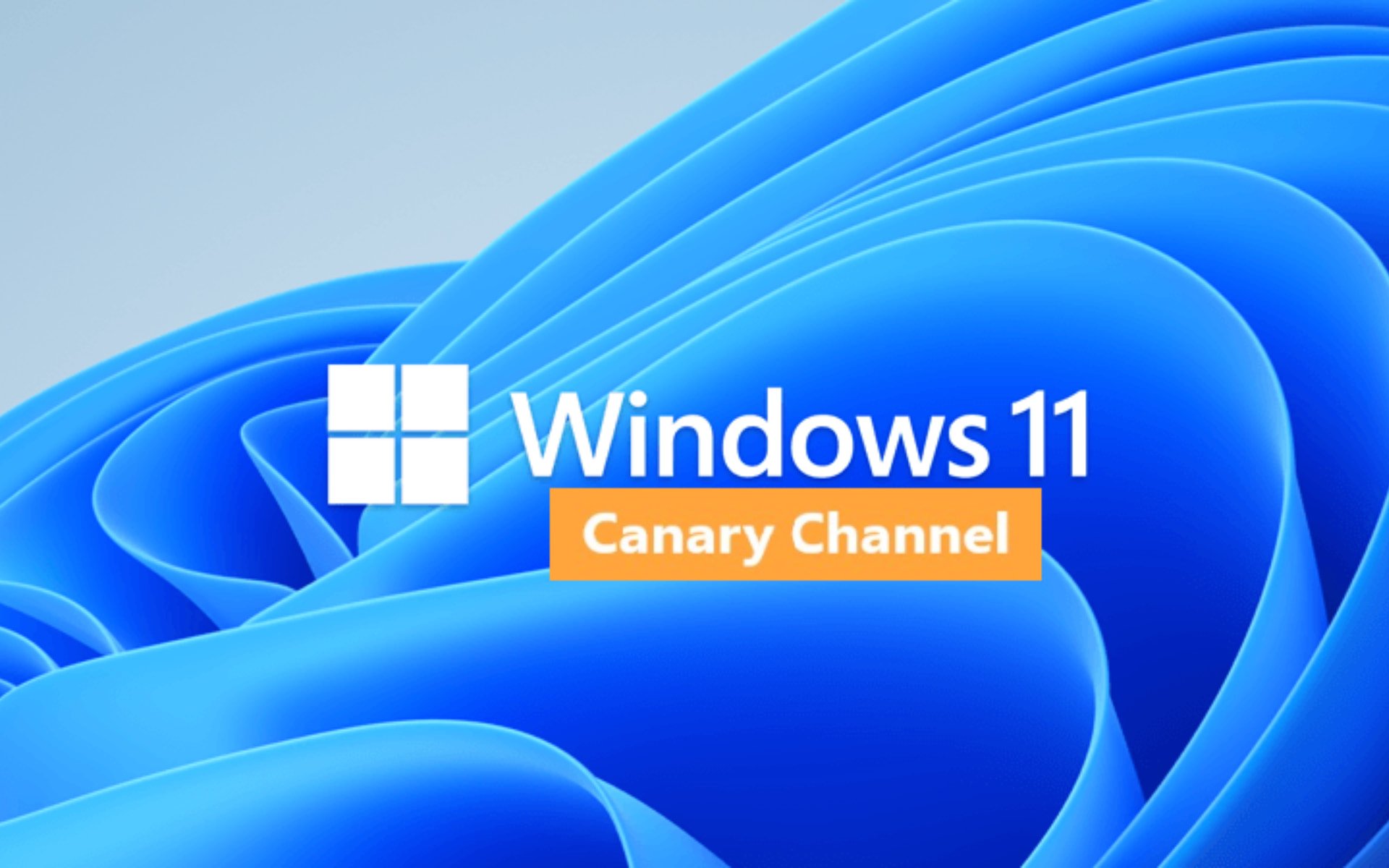 如何在 Windows 11 Build 25330 中卸载相机应用?