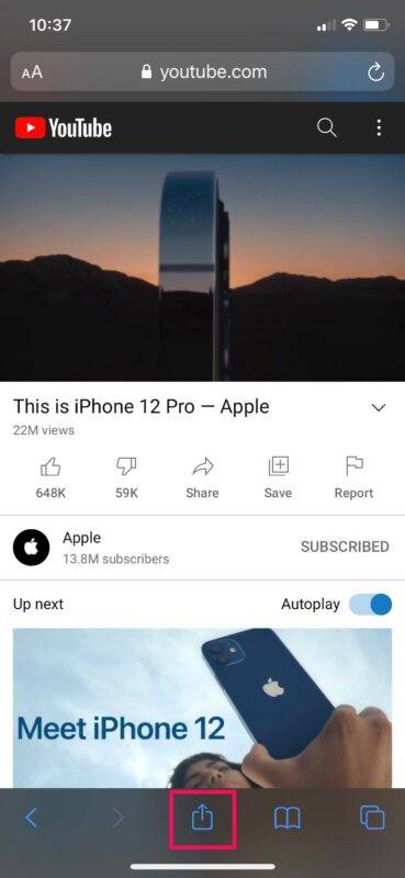 如何在 iPhone 和 iPad 上使用 YouTube 画中画功能?