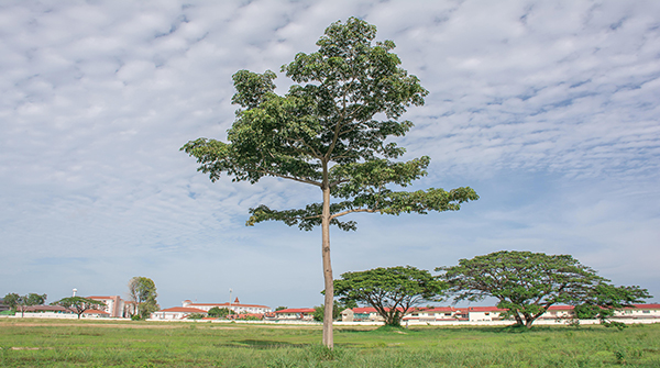 收藏这五个Python小项目，附带源代码！