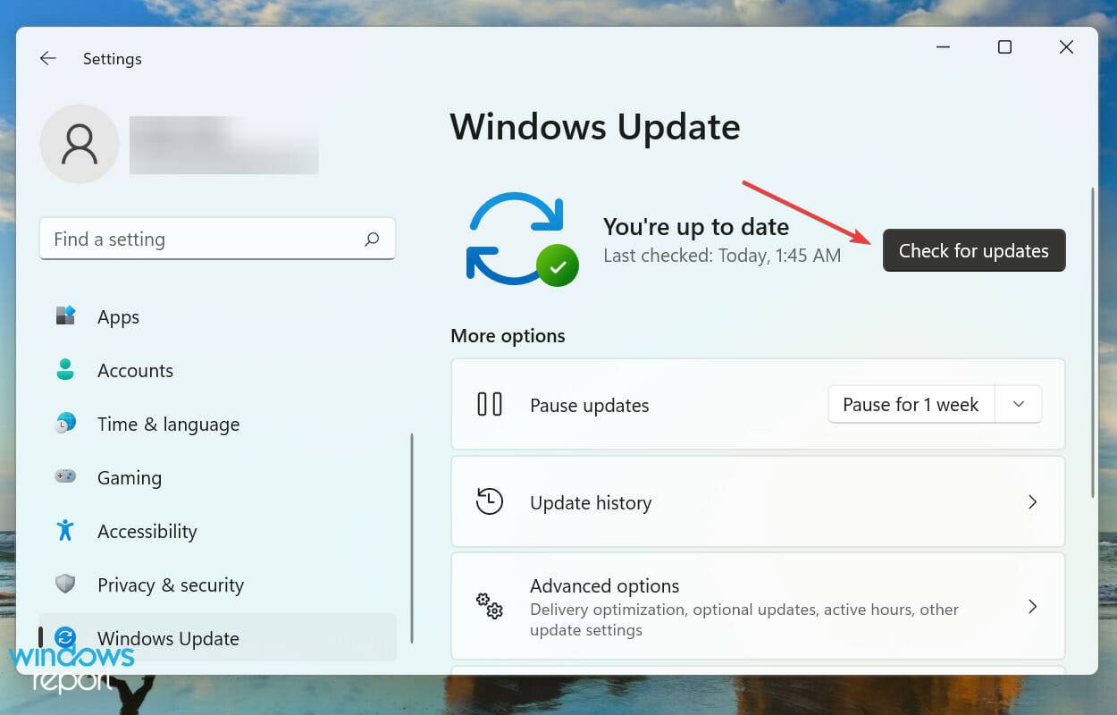 亮度在 Windows 11 中不起作用?应用这些修复