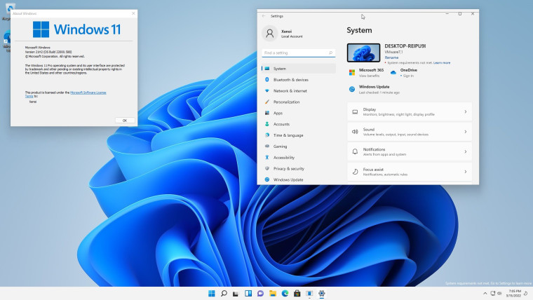 Windows 11 Build 22000.588（KB5011563）引入“不满足系统要求”问题进入Beta通道