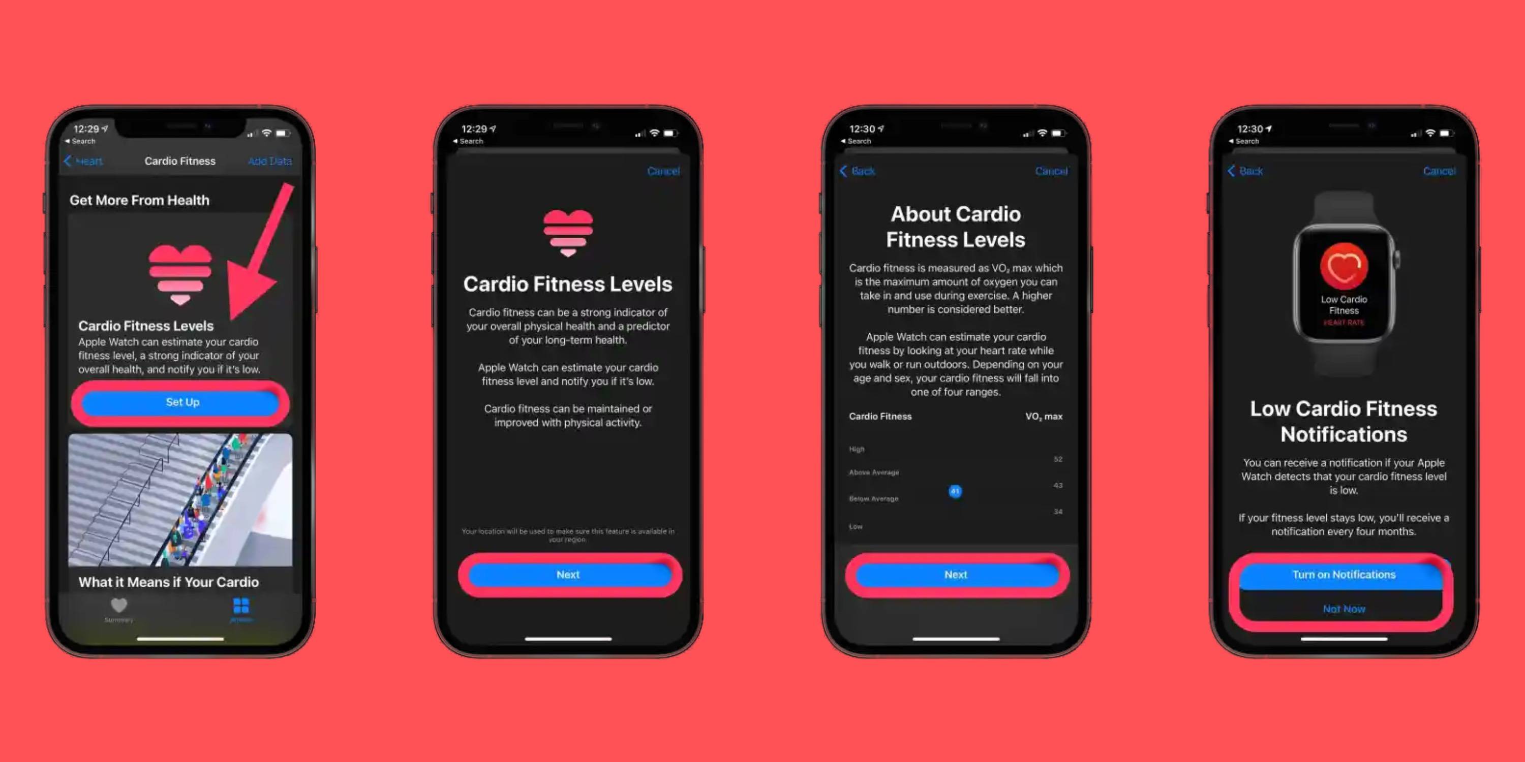 设置和使用 Apple Watch 和 iPhone 中 Cardio Fitness 的指南