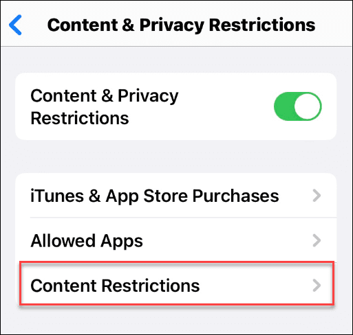 如何在 iPhone 上阻止或取消阻止网站?