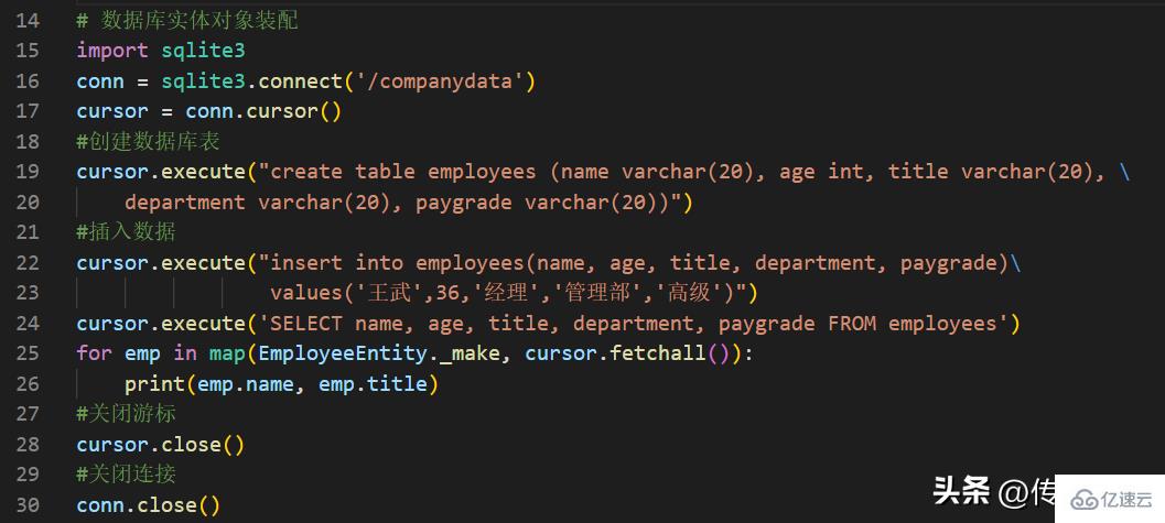 Python命名元组使用指南