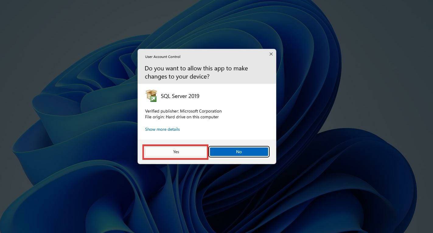 如何在 Windows 11 上安装和配置 SQL Server 2021 开发者版？
