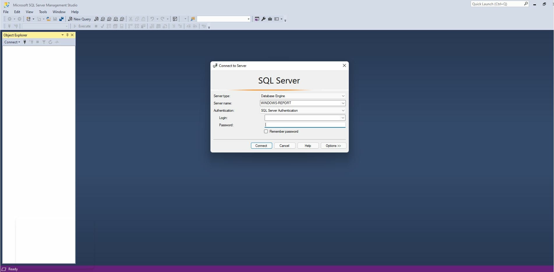 如何在 Windows 11 上安装和配置 SQL Server 2021 开发者版？