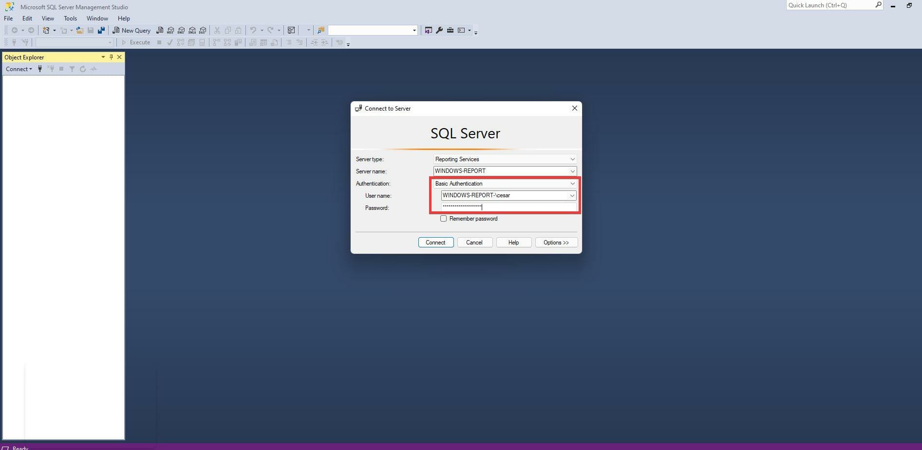 如何在 Windows 11 上安装和配置 SQL Server 2021 开发者版？