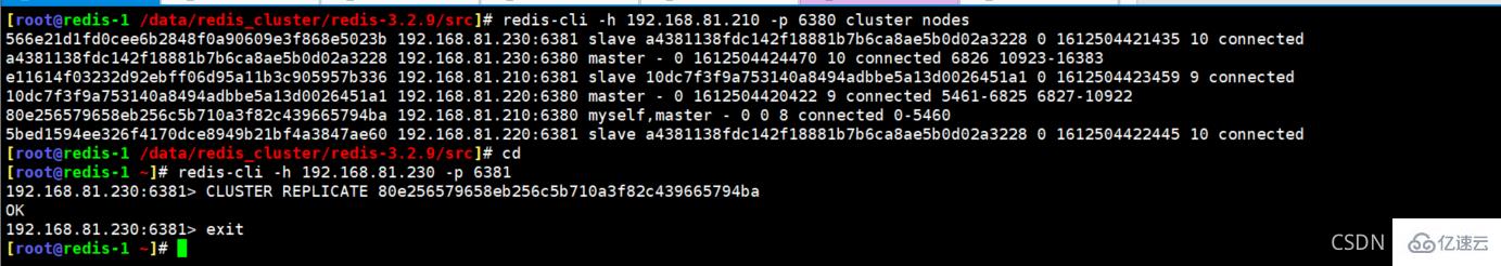 Redis Cluster集群缩容主从节点的步骤